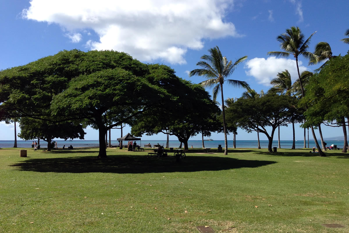 オアフ島ホノルル、大きな木が象徴的なワイキキビーチ