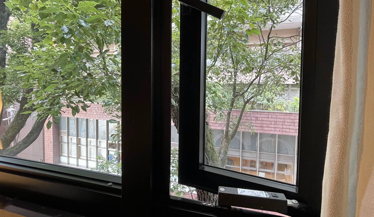 ホテルオークス熊本・窓から楠を見る
