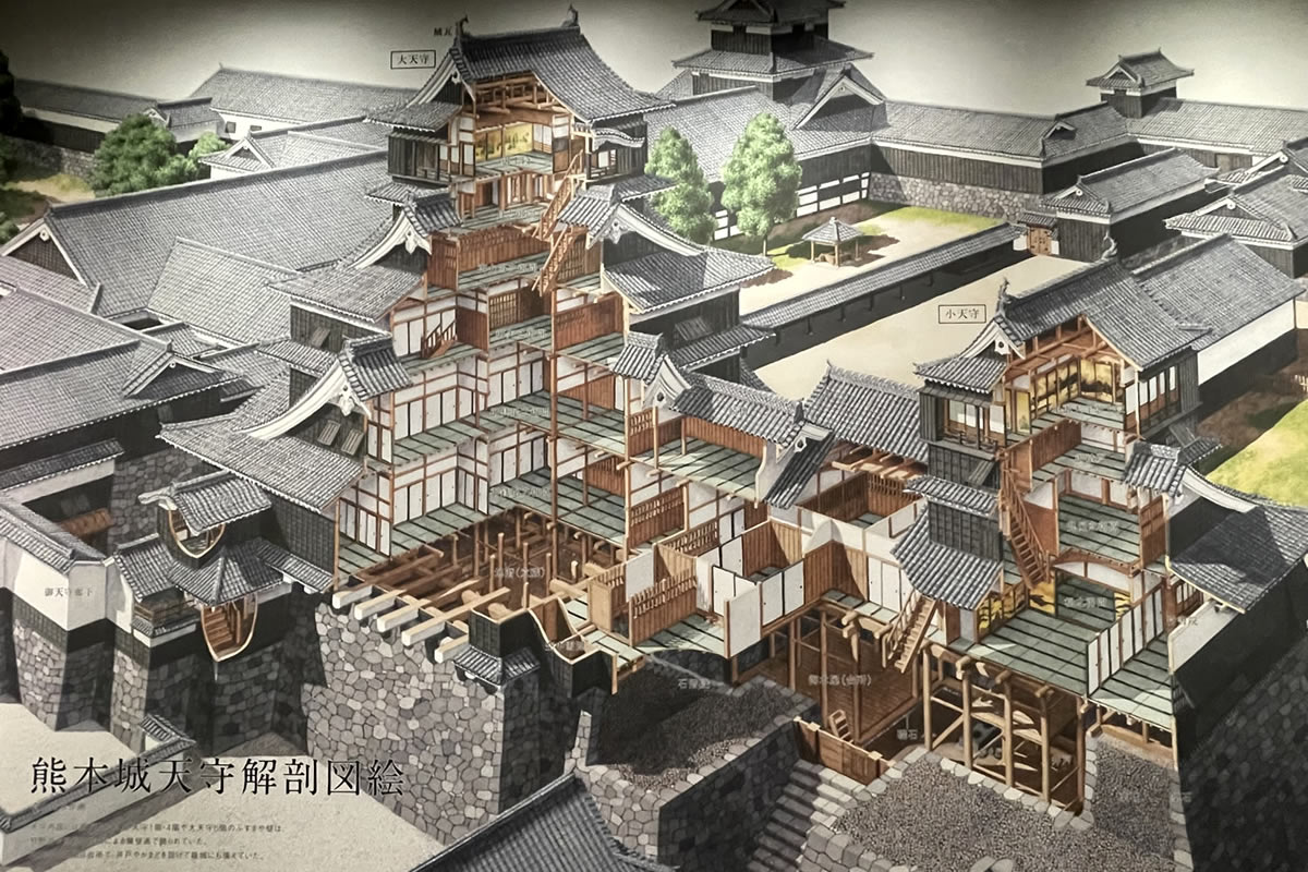 熊本城天守閣解剖図絵