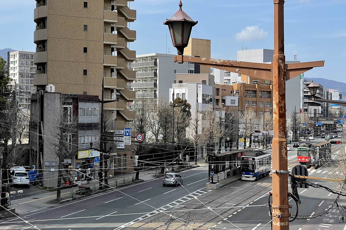熊本市中央区電車通りの街灯と街路樹