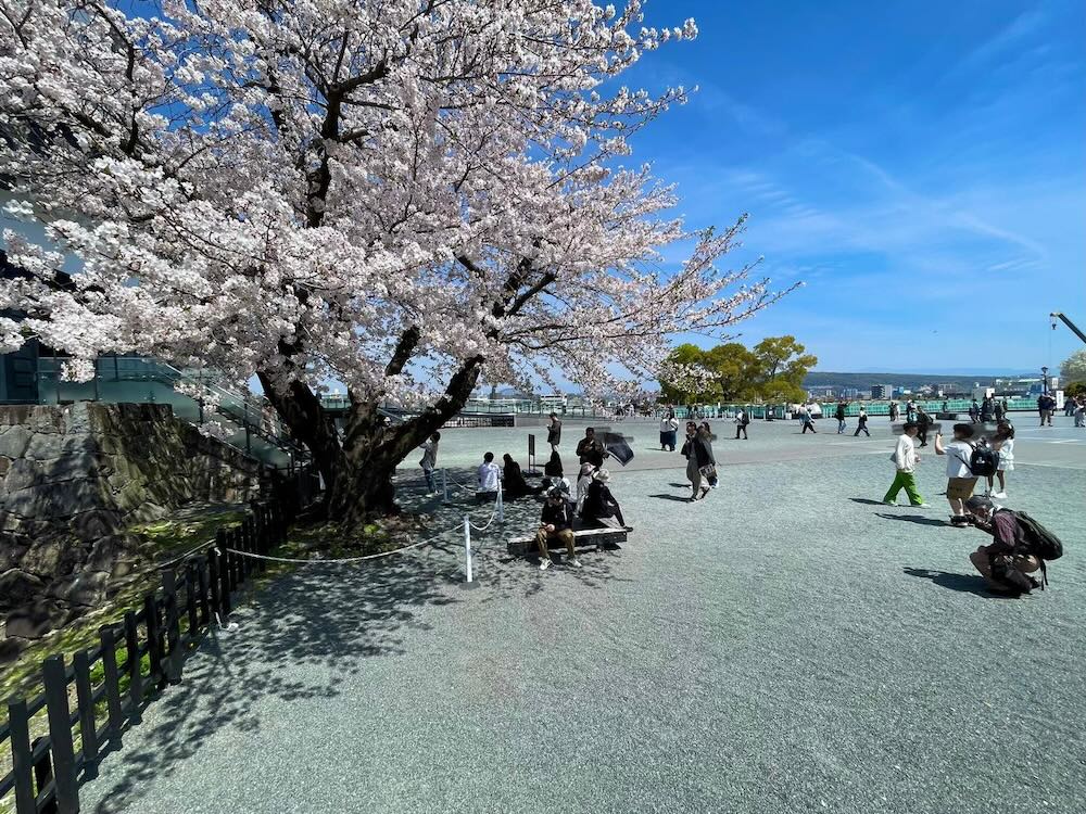 熊本城 廣場與人潮