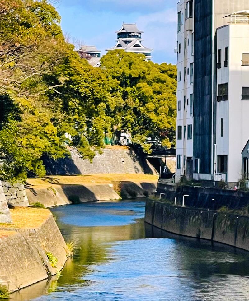 船場橋付近の川沿いから望む熊本城。木立の向こうに天守が浮かび上がる