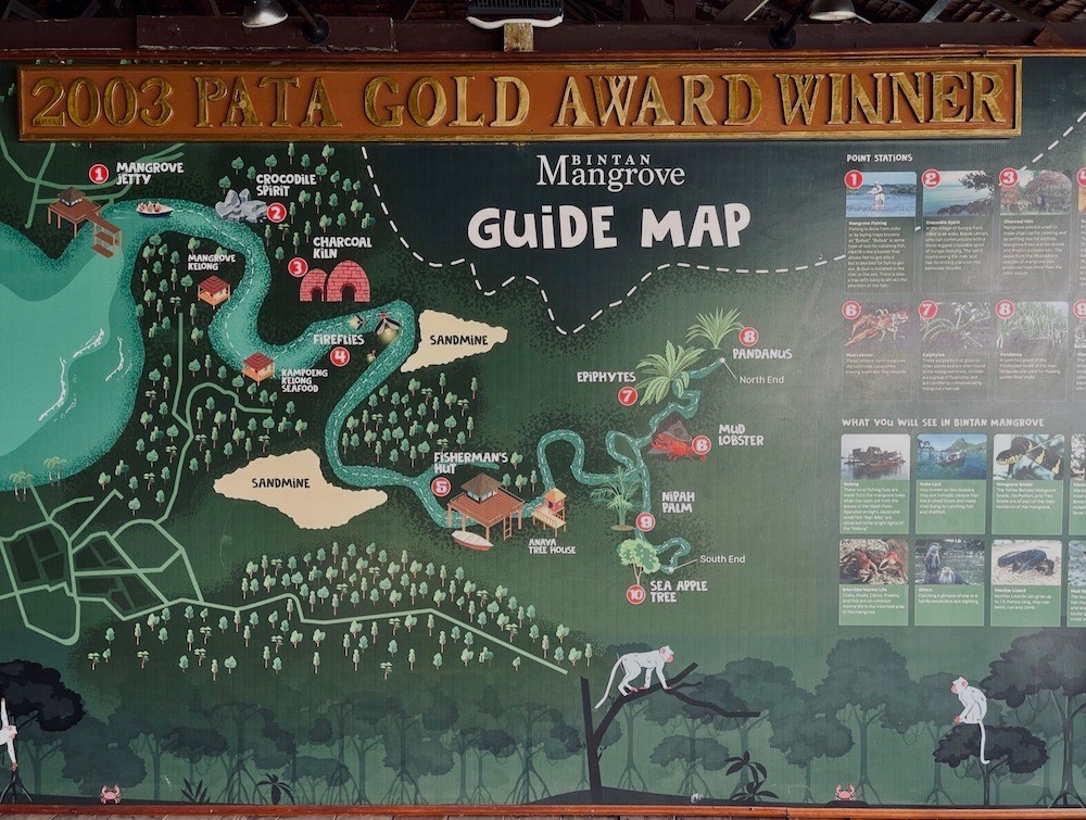 マングローブ探検ツアーのマップ