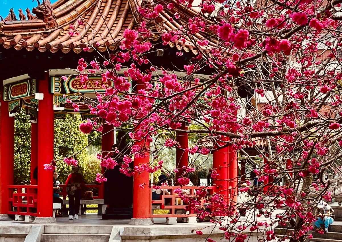 台北中心街