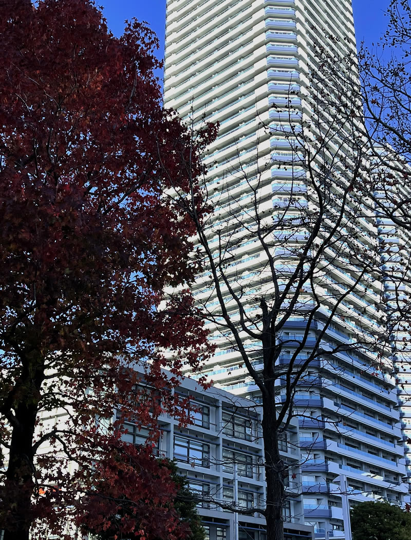 ザ・ヨコハマタワーズタワーウエスト The Yokohomaha Towers Tower East, Tower West, South Court